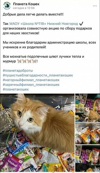 Вискас Новый Год Праздничным Меню Реклама